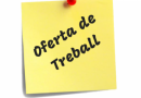 Oferta de treball: professor/a de violí